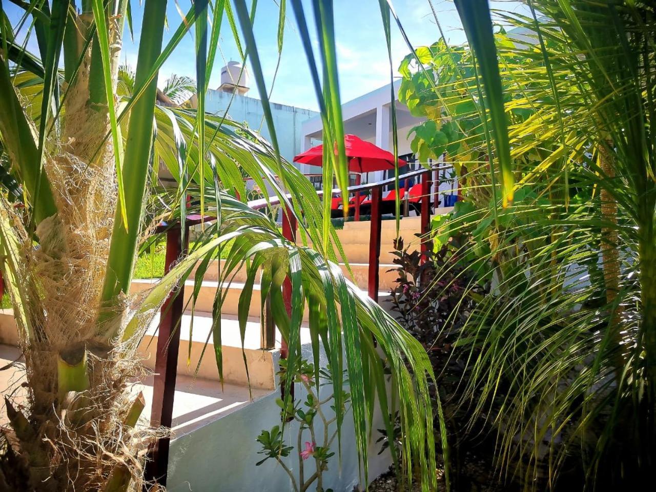 Mayan Majesty Boutique Hotel Valladolid  Zewnętrze zdjęcie